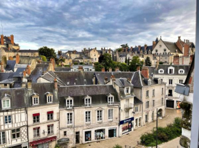 ☆ Sur les toits de Blois ☆ T2 avec vue Château